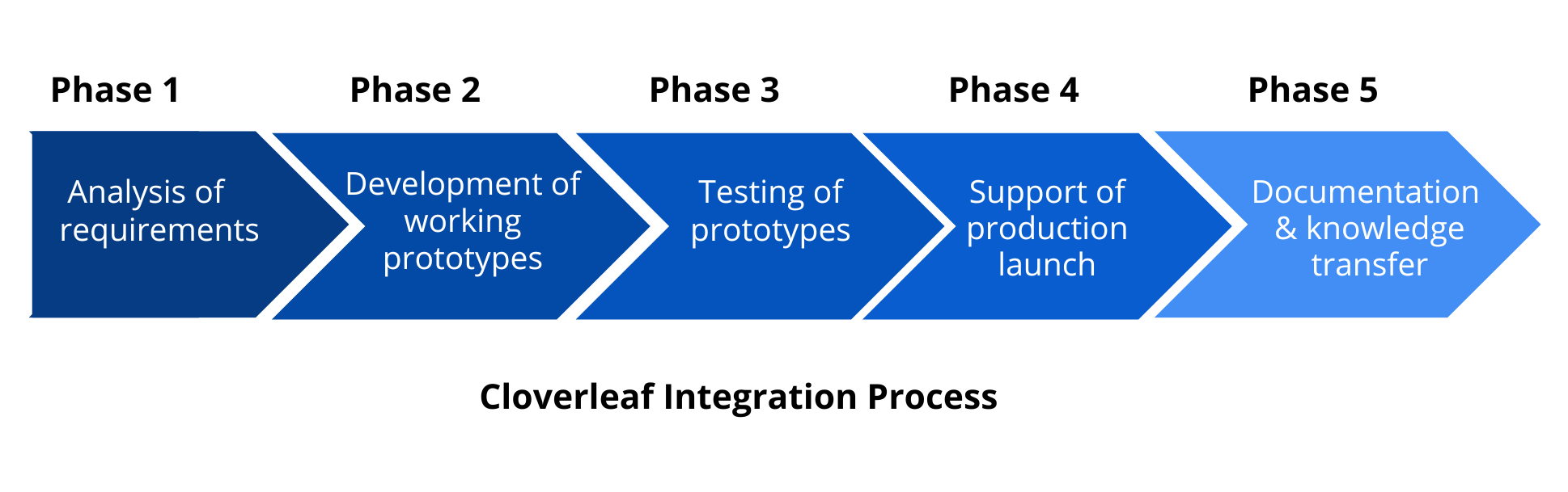 Integrated Disparate Healthcare Systems